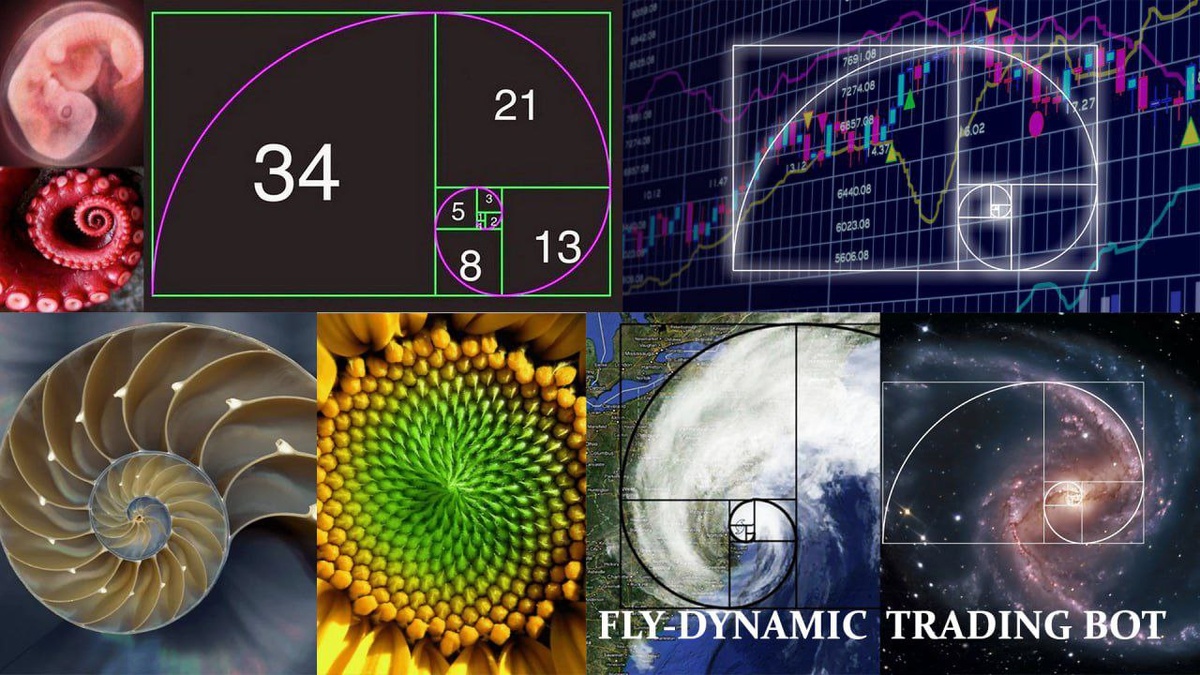 Фибоначчи в торговом роботе