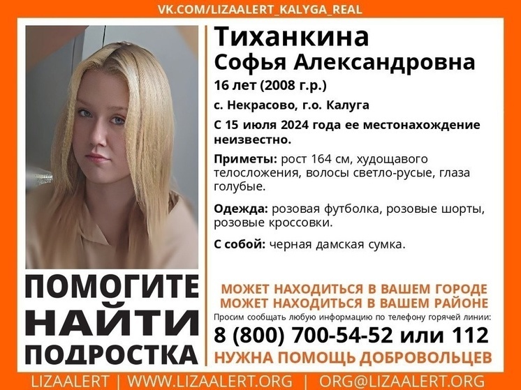     Фото: "Лиза Алерт Калуга"