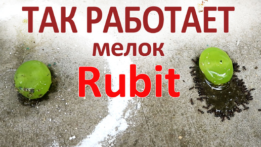 Rubit защитил конфету от муравьев — на улице!