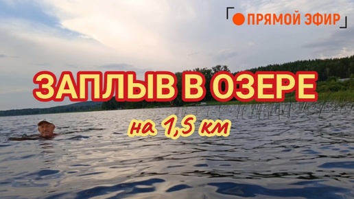 Эксклюзив! Заплыв в Озере на 1,5 км в Прямом эфире 🏊 Плывём и любуемся красотами берега с воды