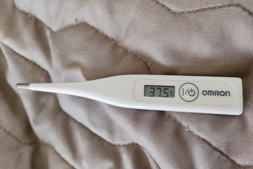 Фото: UfacityNews.ru