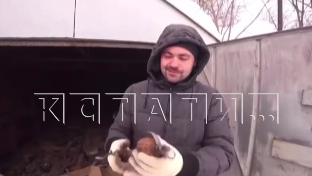     Источник: «Кстати»