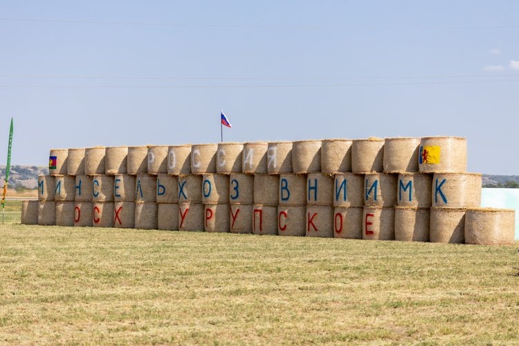    Выставка гибридов сельскохозяйственных культур пройдет в Новокубанском районе Краснодарского края