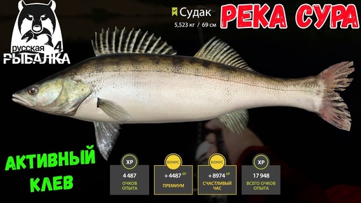 СУПЕР КЛЕВ И ФАРМ НА РЕКА СУРА В РУССКОЙ РЫБАЛКЕ 4 РР4