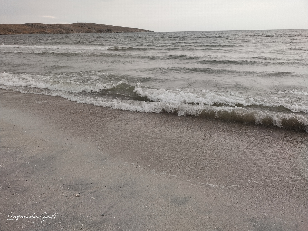 Шторм с медузами