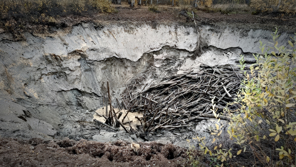 Фото пресс-службы заповедника Шульган-Таш.