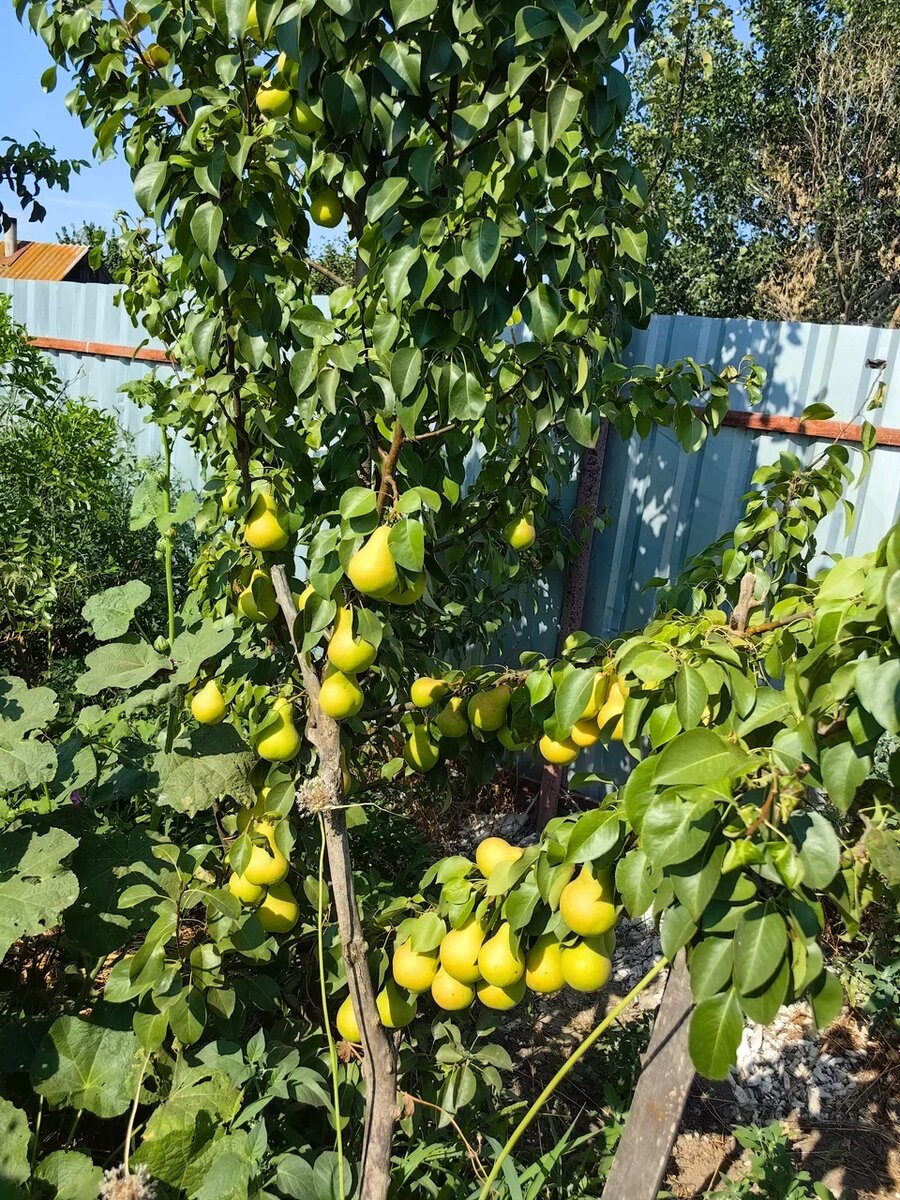 Фото Натальи Мироновой