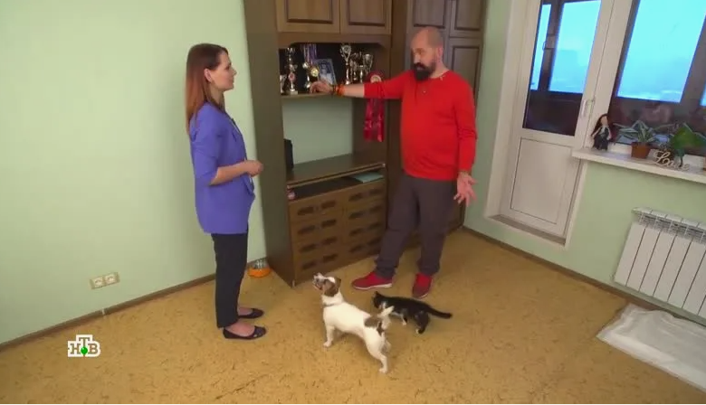 ...Очень классная программа...