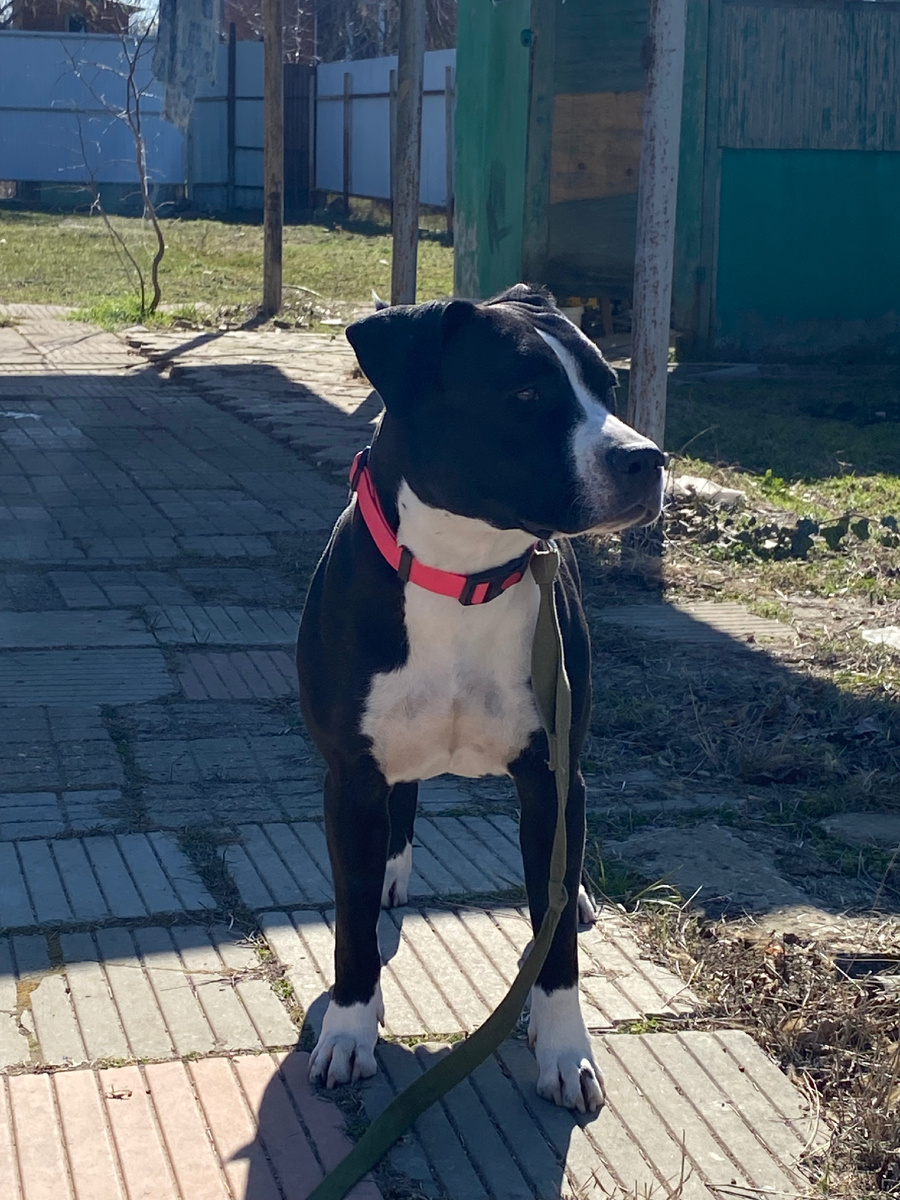 Малюша ранней весной 2024 года 