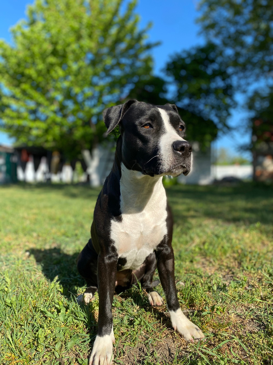 Второй день рождения, апрель 2024 года