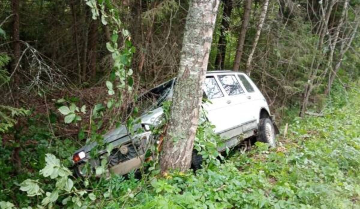     Угнанный автомобиль. Автор фото: Отдел МВД по ЧГО