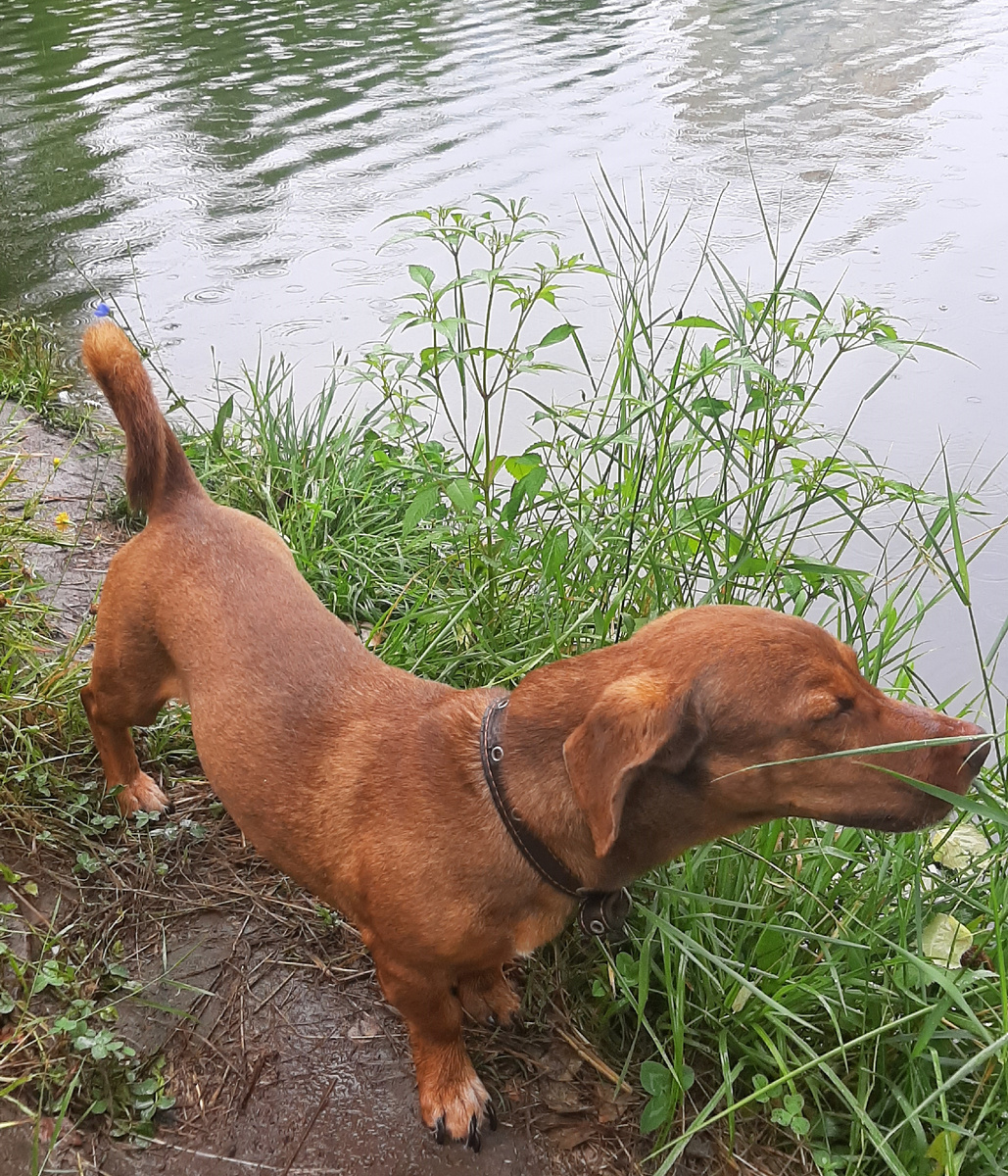 Фото автора