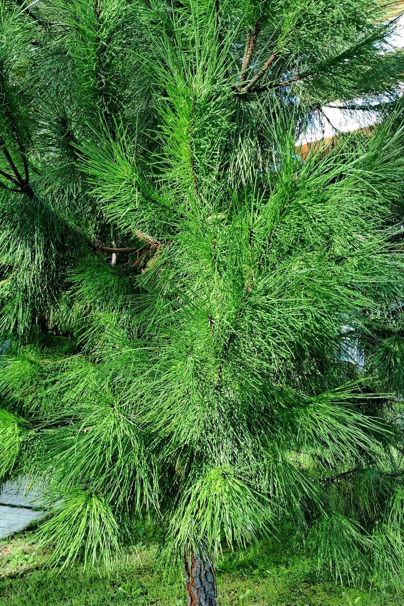 Фотография из личного архива автора