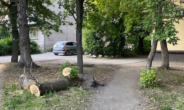    В Иванове до сих пор не убраны последствия урагана
