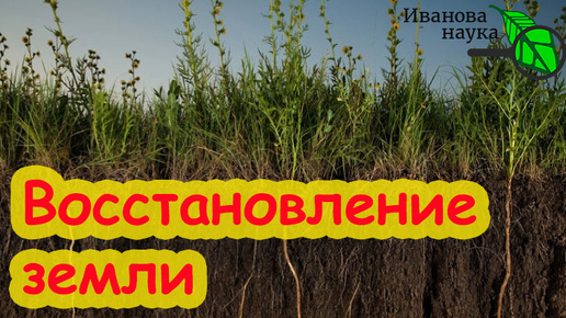 РЕГЕНЕРАТИВНОЕ ПРИРОДНОЕ ЗЕМЛЕДЕЛИЕ: сектантство или необходимость? Как не испортить почву в огороде.