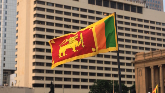    На Шри-Ланке объяснили иностранцам правила ведения бизнеса Татьяна Сидорова
