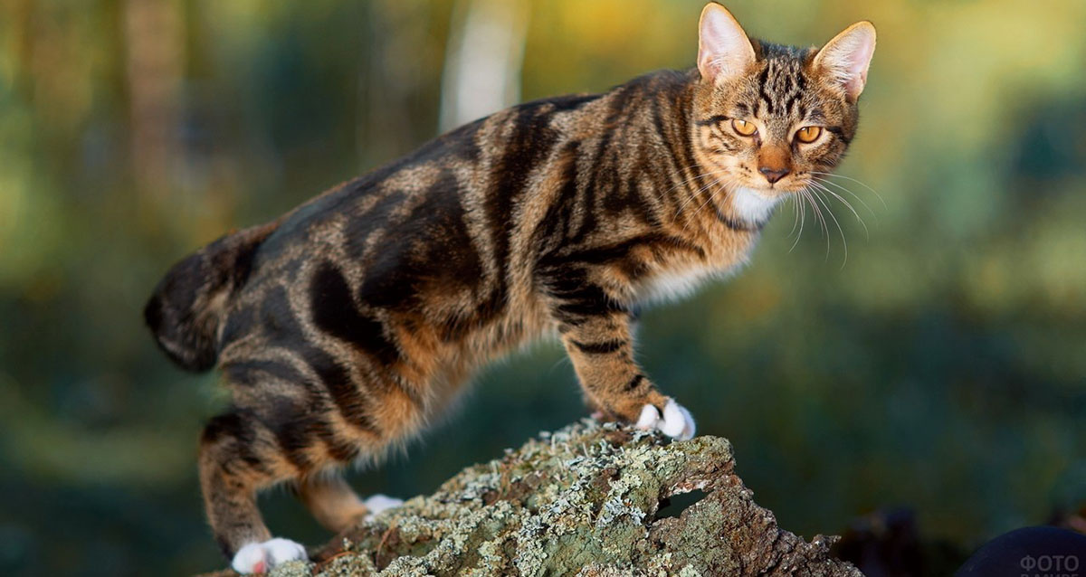 Фото из Интернета. 