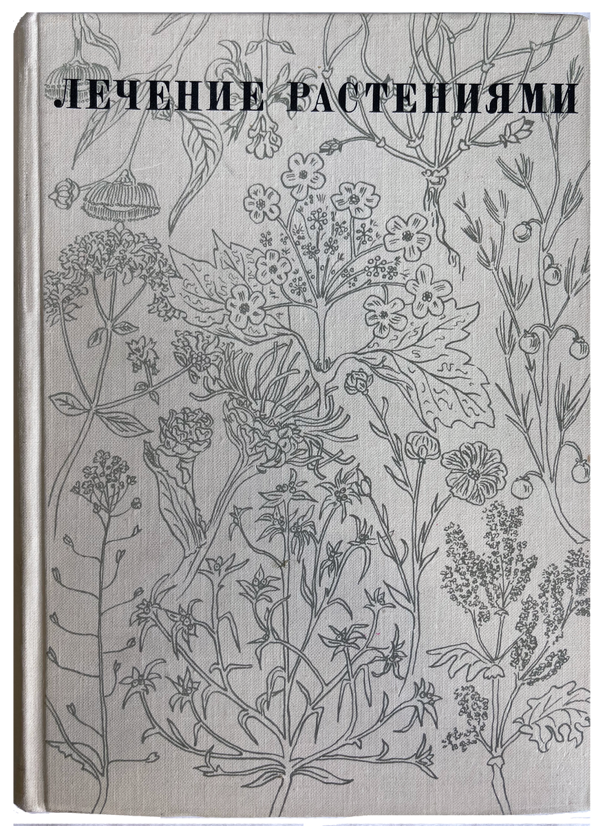 «Лечение растениями» — книга Нины Георгиевны Ковалёвой, врача-фитотерапевта. Впервые опубликована в 1971 году в издательстве «Медицина»; была признана одной из лучших книг в СССР в области фитотерапии[1]. В 1971 году книга была издана тиражом 150 тысяч экземпляров, в 1972 году было допечатано ещё 25 тысяч.