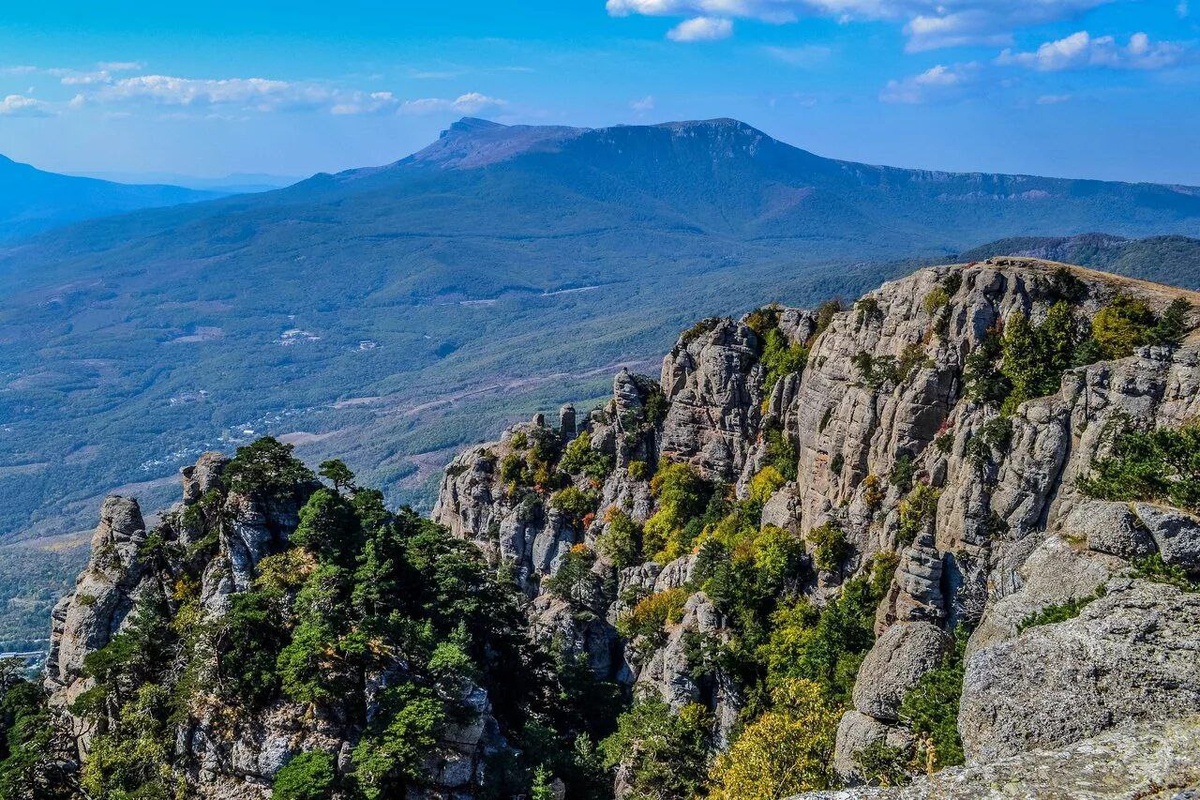 нагорье с диким тёрном и кустарники