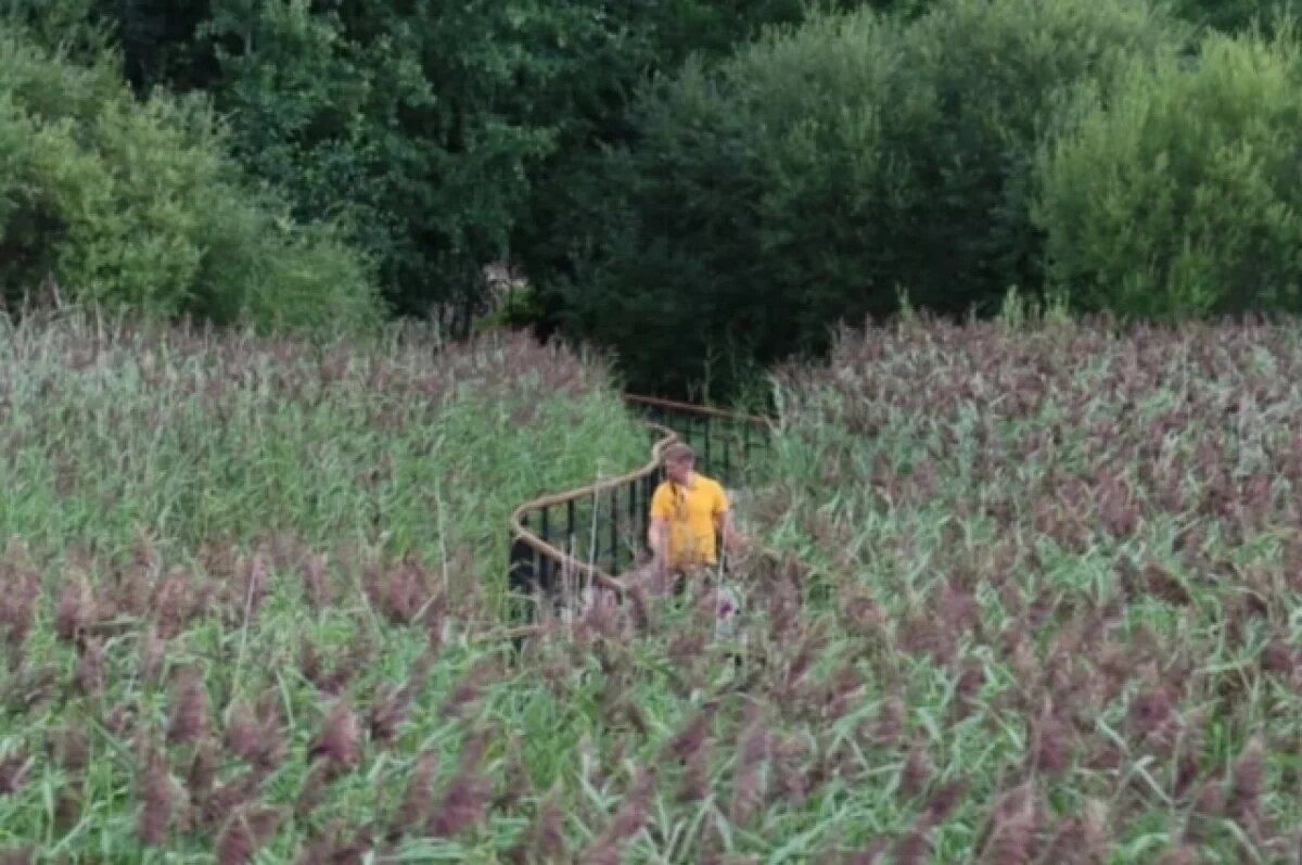    Александр Беглов открыл новый экомаршрут на берегу залива под Петербургом