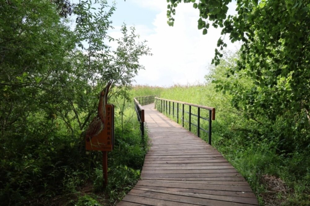    Фото: Администрация Санкт-Петербурга