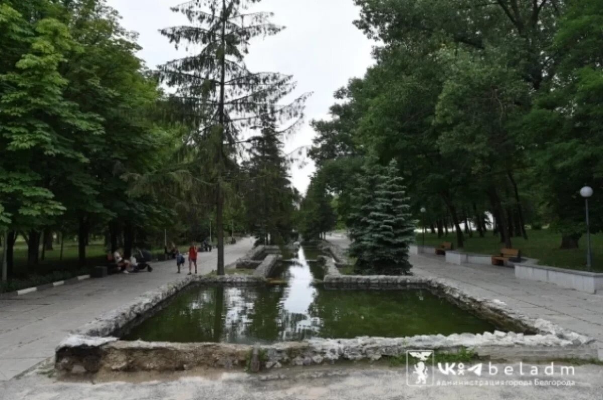    В мэрии Белгорода пояснили причину гнилой воды в фонтане парка Памяти