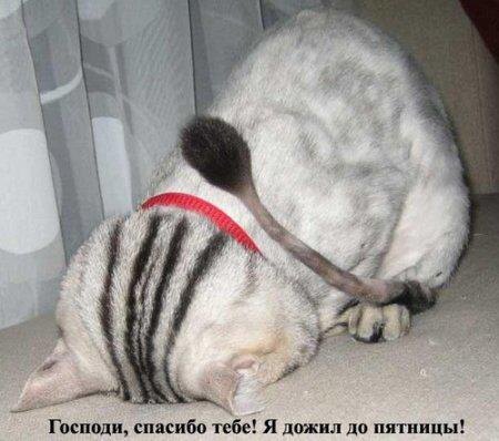 фото из открытого источника.
