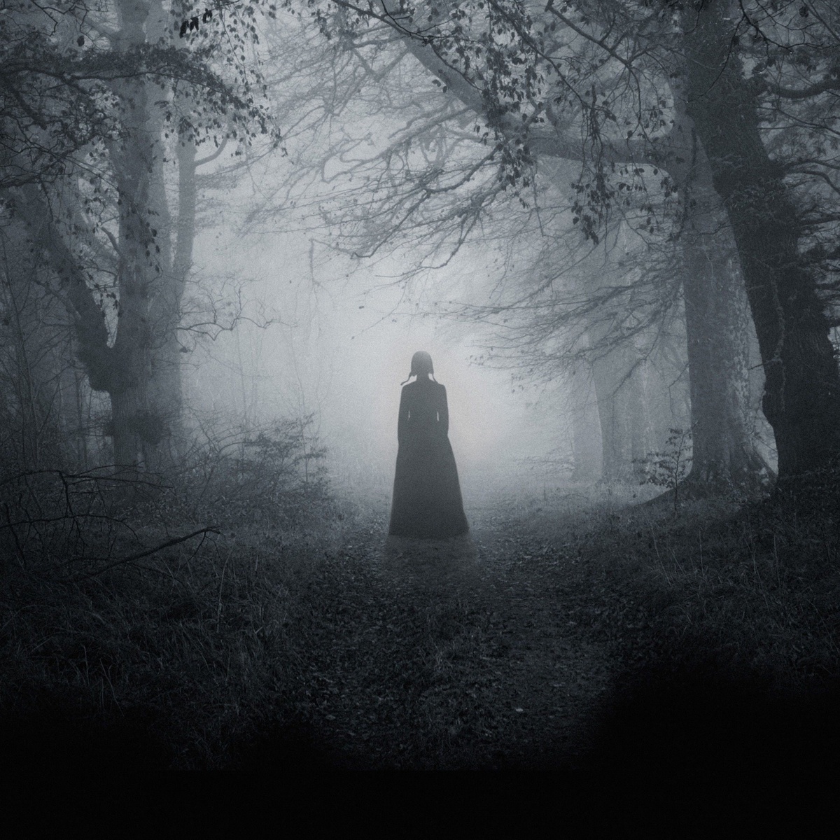 Фото взято из интернета 