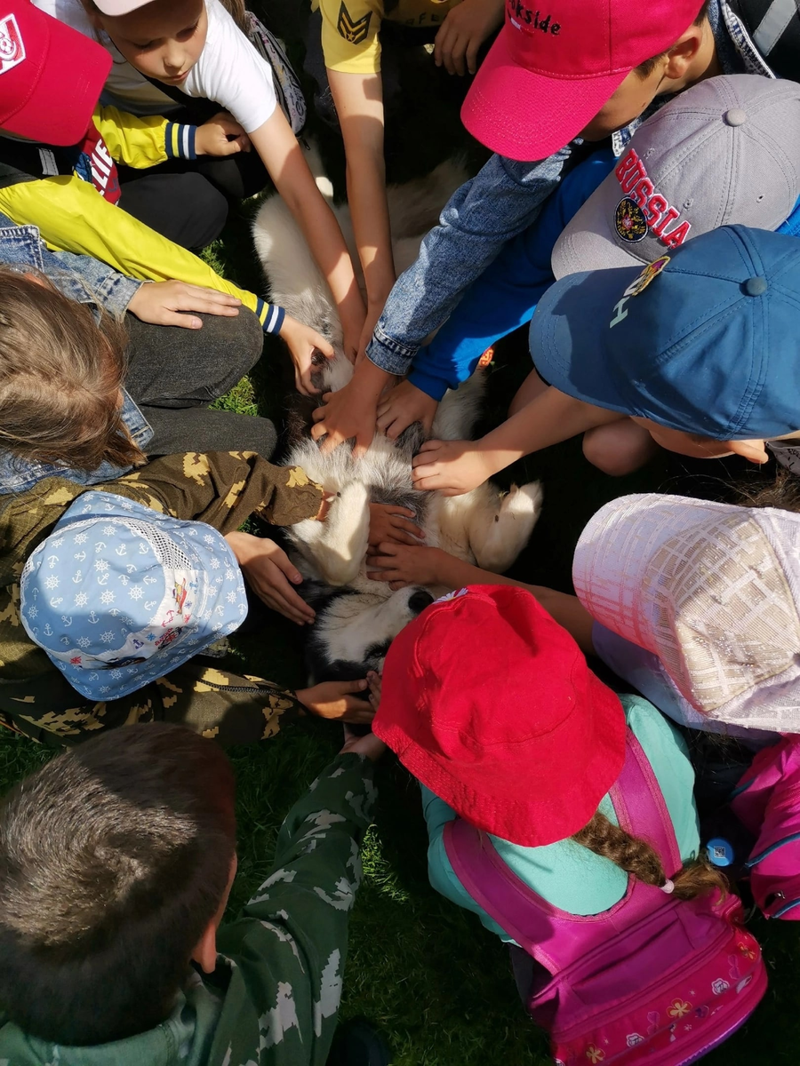 Источник: https://vk.com/severnoe_siyanie44?z=photo-29176241_457244534%2Falbum-29176241_293414166%2Frev