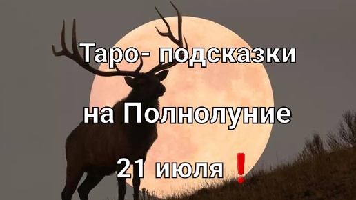 Карта таро на Оленье Полнолуние для всех знаков зодиака❗🌕🦌