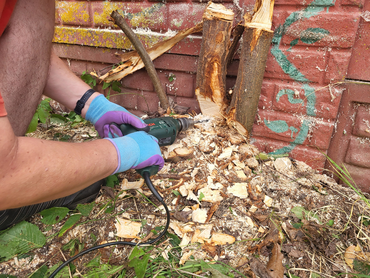 Агонь, агонь, агонь, агонияяя (С, гр. Любэ). Пила и топор тоже были тупыми-тупыми! Пришлось сверлить, чтобы "отгрызть" самые упрямые стволы, растущие прямо в заборе