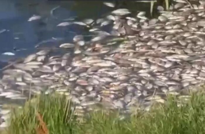 Источник фото: соцсети