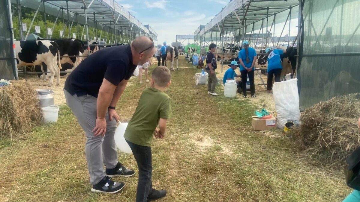     Источник: udm-info.ru