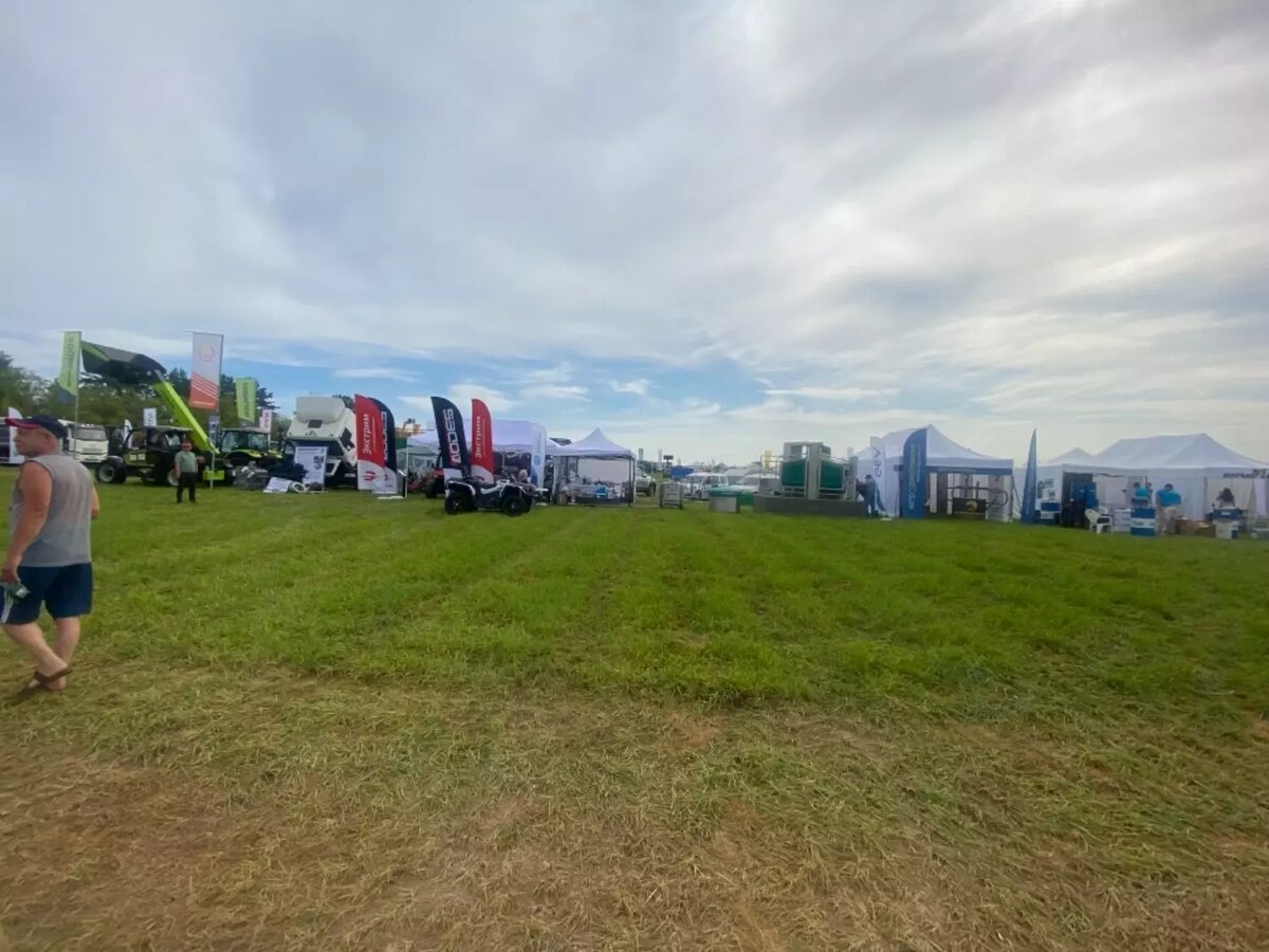     Источник: udm-info.ru