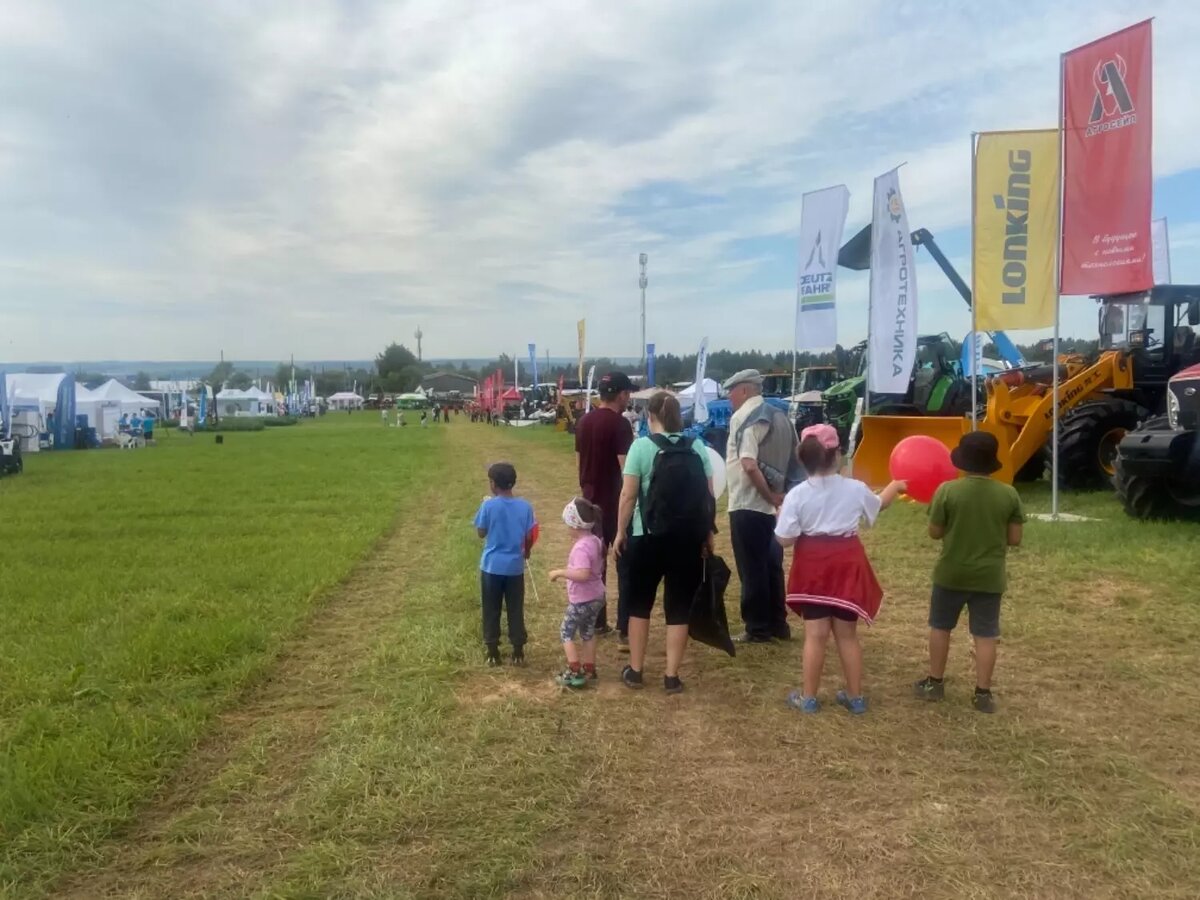     Источник: udm-info.ru