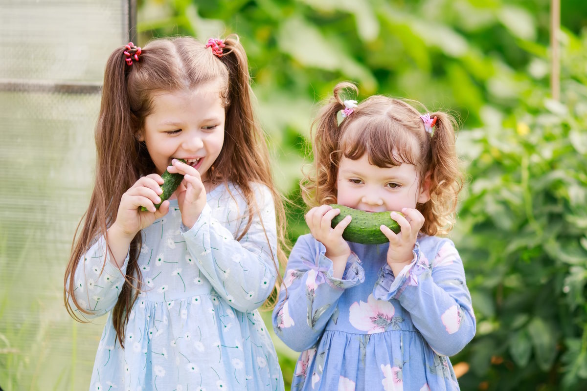    Фото: Alina Demidenko / Shutterstock.com