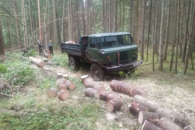   Фото: пресс-служба нацпарка «Куршская коса»