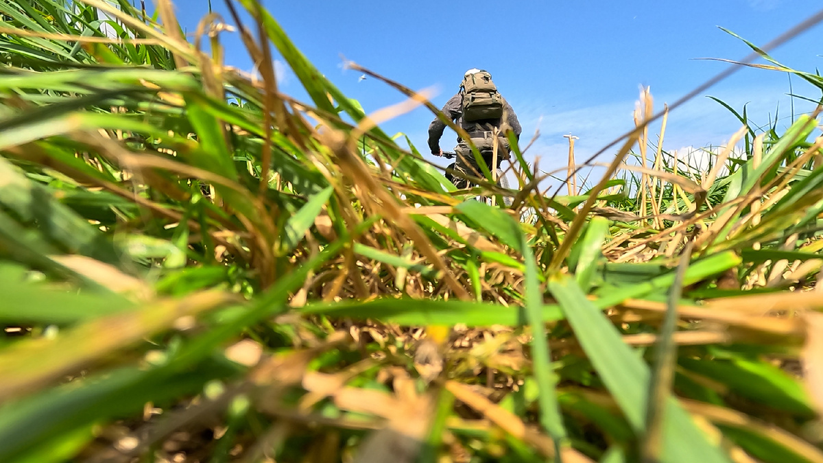 В поле на байке