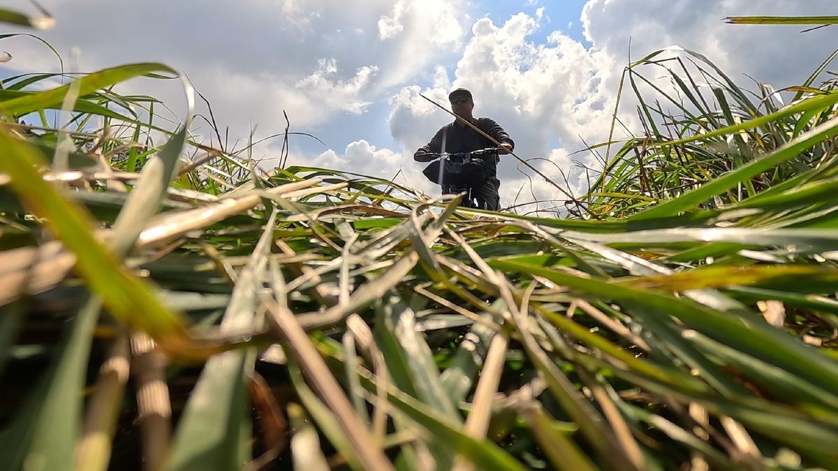 В поле на байке
