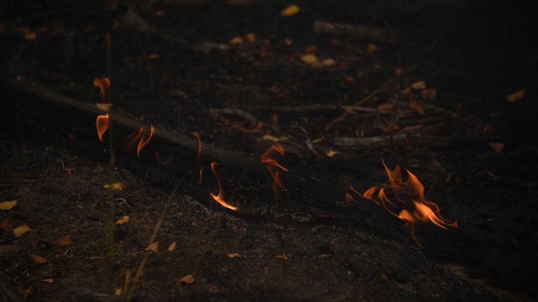    Фото: Komsomolskaya Pravda/Globallookpress