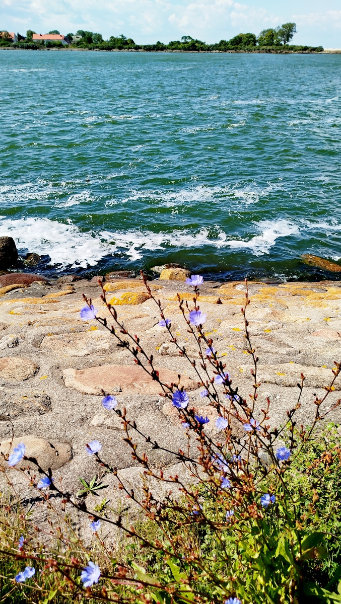 Маршрут 1 балтийск. От калининграда до янтарного. Калининградская область на карте. Золотой якорь балтийск. Памятник петру 1 в балтийске.
