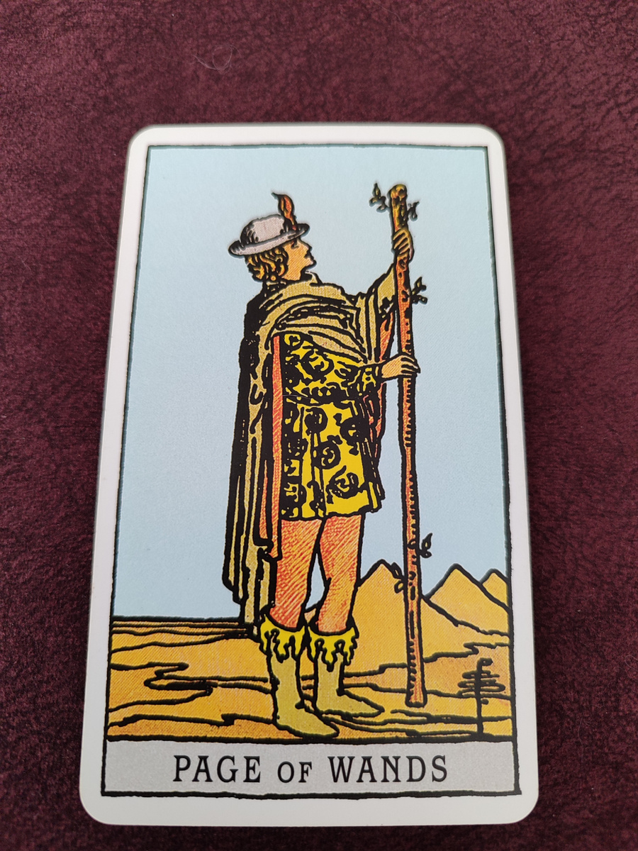 Паж жезлов из Таро Уэйта