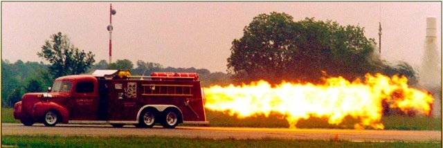 Гавайский орёл