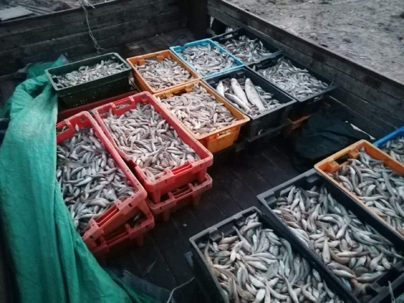 Фото ПУ ФСБ России по Ростовской области