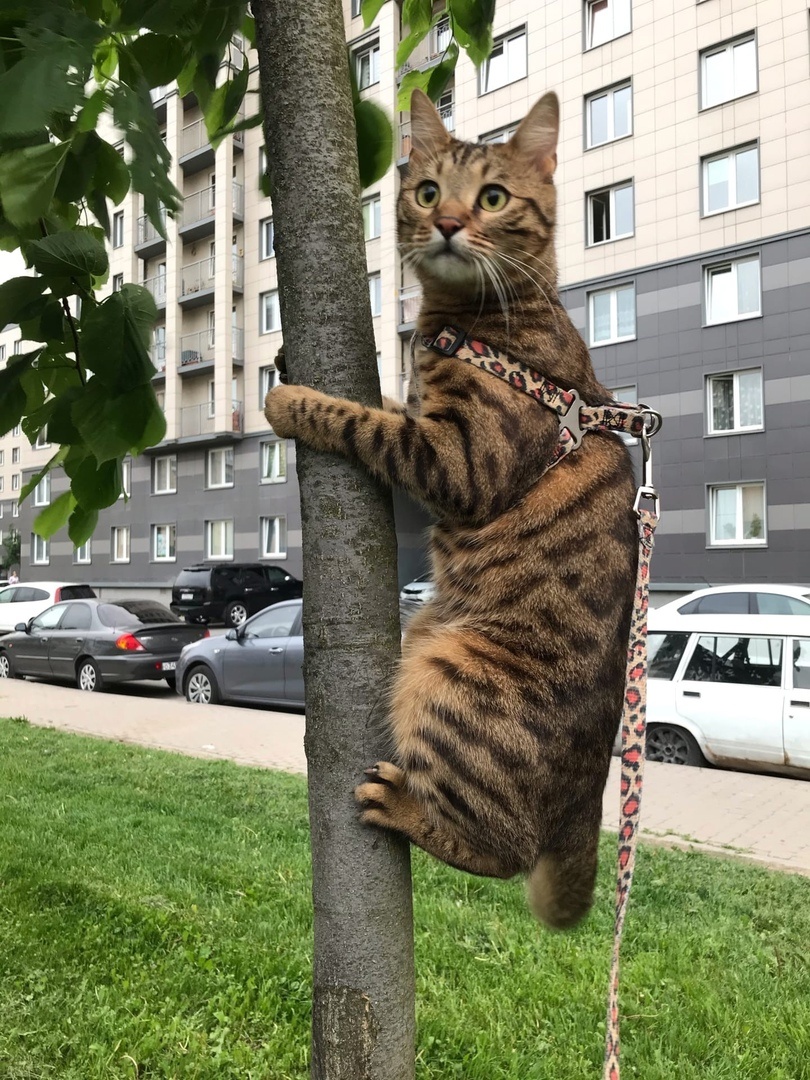 Источник: Яндекс картинки