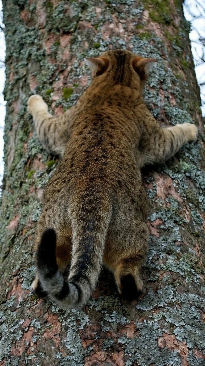 Источник: Яндекс картинки