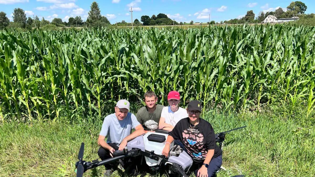 Фото:РУП «Институт защиты растений» Белорусские ученые проводят опыты по оценке эффективности инсектицидов системного действия для защиты кукурузы от стеблевого кукурузного мотылька