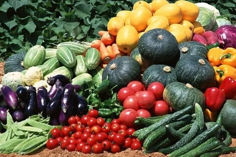 фото из открытого источника