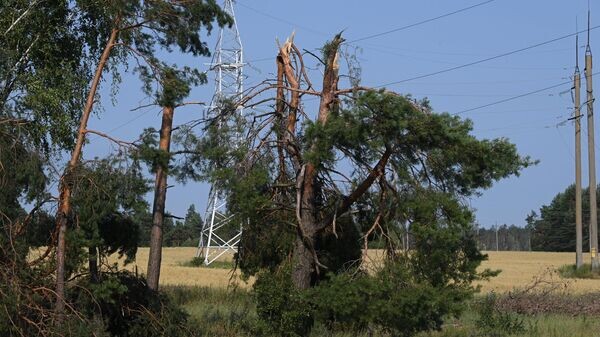    © Sputnik / Виктор Толочко