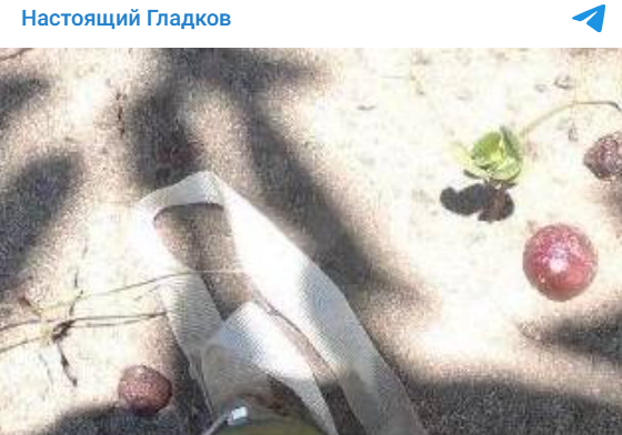    Скриншот:Telegram/"Настоящий Гладков"